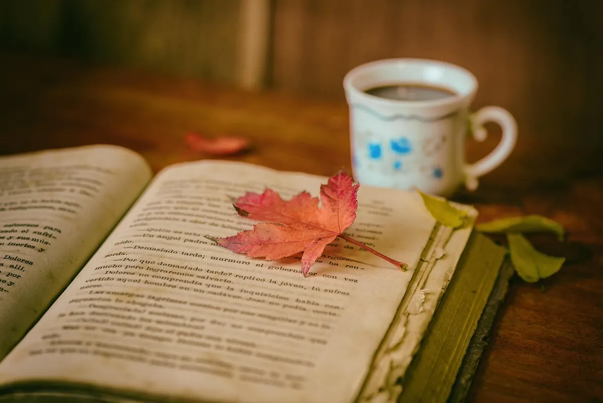 The Beginner's Guide to Reviewing Poetry Collections